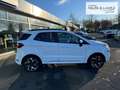Ford EcoSport ST-Line Allwetterreifen LED PDCv+h SHZ Weiß - thumbnail 5