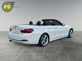 BMW 420 i Sport Line Cabrio Navi Leder Soundsystem   LED E Weiß - thumbnail 2