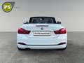 BMW 420 i Sport Line Cabrio Navi Leder Soundsystem   LED E Weiß - thumbnail 10