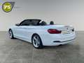 BMW 420 i Sport Line Cabrio Navi Leder Soundsystem   LED E Weiß - thumbnail 9