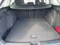 Volkswagen Golf VIII Variant GOAL 2.0 TDI DSG KAMERA*NAVI Weiß - thumbnail 6