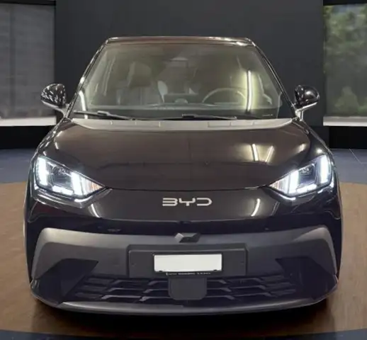BYD Dolphin Surf SURF ACTIVE 88Ccv Batteria 30kwh