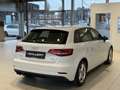 Audi A3 SB 1,5 TFSI COD*Xenon*Klimaautomatik Weiß - thumbnail 5
