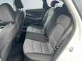 Hyundai i30 Select 1.0 T-GDI Fahrerprofil Spurhalteass. Fernli Weiß - thumbnail 13