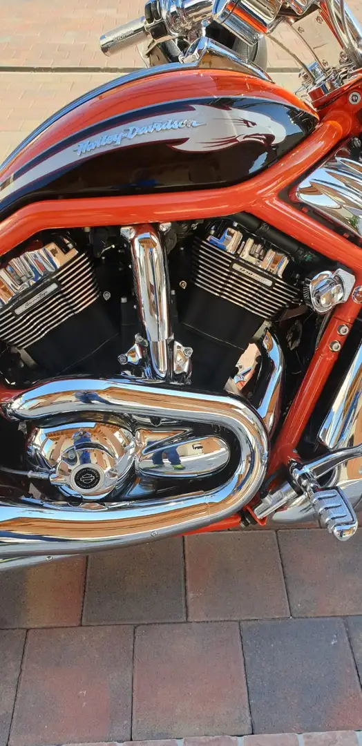 Harley-Davidson VRSC V-Rod Portocaliu - 2