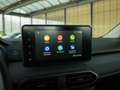 Dacia Sandero III Stepway TCe 100 ECO-G Comfort AHK Klima Apple Blau - thumbnail 20