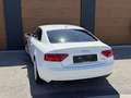 Audi A5 SB 2,0 TDI quattro sport Weiß - thumbnail 15