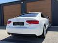 Audi A5 SB 2,0 TDI quattro sport Weiß - thumbnail 13