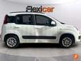 Fiat Panda 1.2 Easy Blanco - thumbnail 9