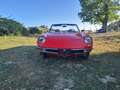 Alfa Romeo Spider Duetto 1.3 junior ASI restaurato perfetto Rouge - thumbnail 3