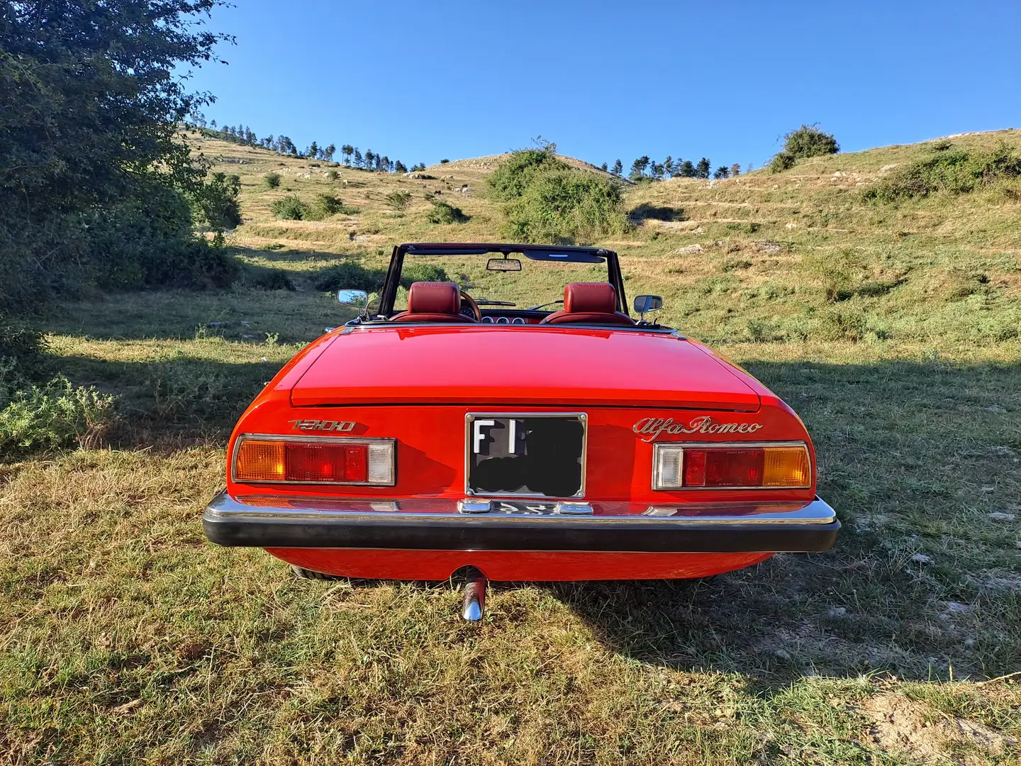 Alfa Romeo Spider Duetto 1.3 junior ASI restaurato perfetto Rouge - 1