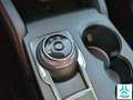 Ford Kuga 2.5 Duratec PHEV ST-Line X 4x2 Blauw - thumbnail 14