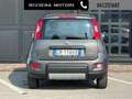 Fiat Panda 1.0 FireFly S&S Hybrid Grijs - thumbnail 13