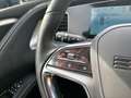 BYD Sealion 7 Excellence AWD Grau - thumbnail 27