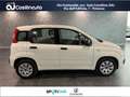 Fiat Panda 1.3 MJT 95 CV S&S Easy Wit - thumbnail 4