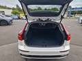 Volvo V60 B4 Plus Dark Weiß - thumbnail 9