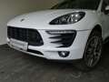 Porsche Macan S Diesel Chrono Paket Panorama (12) Weiß - thumbnail 4