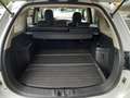 Mitsubishi Outlander PHEV Plus 4WD Weiß - thumbnail 15