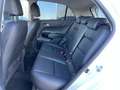 Kia Picanto 1.0 MPi 67 pk DynamicLine 5 drs Weiß - thumbnail 10