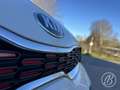 Kia Picanto 1.0 MPi 67 pk DynamicLine 5 drs Weiß - thumbnail 27