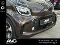 smart forFour EQ forfour Faltdach Exclusive Voll-LED JBL-Sound Braun - thumbnail 7