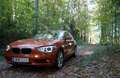 BMW 116 116i Österreich-Paket Österreich-Paket Orange - thumbnail 5
