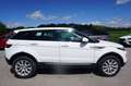 Land Rover Range Rover Evoque SE 2,0 TD4 Aut. Weiß - thumbnail 3