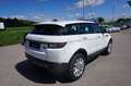 Land Rover Range Rover Evoque SE 2,0 TD4 Aut. Weiß - thumbnail 4