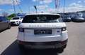 Land Rover Range Rover Evoque SE 2,0 TD4 Aut. Weiß - thumbnail 5