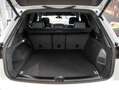 Volkswagen Touareg R-Line 3.0 V6 TDI 4MOTION klima Pano AHK White - thumbnail 11