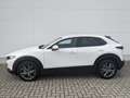 Mazda CX-30 2.0l Skyactiv-X Selection AHK Design-Paket Matrix- Weiß - thumbnail 4