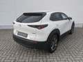 Mazda CX-30 2.0l Skyactiv-X Selection AHK Design-Paket Matrix- Weiß - thumbnail 5