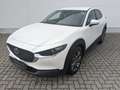 Mazda CX-30 2.0l Skyactiv-X Selection AHK Design-Paket Matrix- Weiß - thumbnail 3