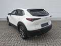 Mazda CX-30 2.0l Skyactiv-X Selection AHK Design-Paket Matrix- Weiß - thumbnail 6