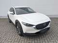 Mazda CX-30 2.0l Skyactiv-X Selection AHK Design-Paket Matrix- Weiß - thumbnail 2