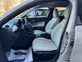 Fiat 600 1.2 hybrid La Prima 100CV AUTOM. KM.0 Beige - thumbnail 7
