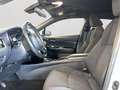 Toyota C-HR 1,8 Hybrid C-LUB - thumbnail 14