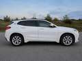 BMW X2 X2 sDrive 20d Aut. Weiß - thumbnail 7