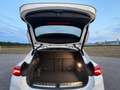 BMW X2 X2 sDrive 20d Aut. Weiß - thumbnail 15