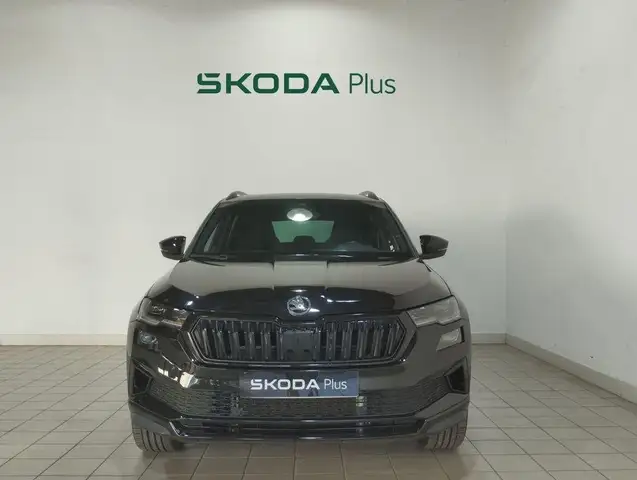 Skoda Karoq view 15