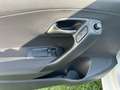 Volkswagen Polo Polo 1.2 70 CV 5 porte Comfortline Blanc - thumbnail 12
