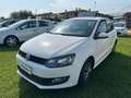 Volkswagen Polo Polo 1.2 70 CV 5 porte Comfortline Blanc - thumbnail 3