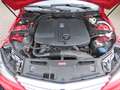 Mercedes-Benz C 220 C220 CDI AMG-Paket Alcantara Pano Kamera Rot - thumbnail 4