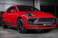 Porsche Macan Macan GTS Burmester®/Matrix/Pano/360°/Carbon - thumbnail 5