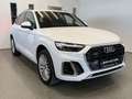Audi Q5 50 TFSIe QUATTRO*3xSLINE*RS-SITZE*3ZON*VIRTUAL* Weiß - thumbnail 3