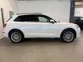 Audi Q5 50 TFSIe QUATTRO*3xSLINE*RS-SITZE*3ZON*VIRTUAL* Weiß - thumbnail 4