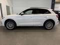 Audi Q5 50 TFSIe QUATTRO*3xSLINE*RS-SITZE*3ZON*VIRTUAL* Weiß - thumbnail 8