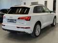 Audi Q5 50 TFSIe QUATTRO*3xSLINE*RS-SITZE*3ZON*VIRTUAL* Weiß - thumbnail 5