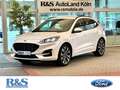 Ford Kuga ST-Line X+Navi+Kamera+B&O+Head-Up+Key-Free Weiß - thumbnail 1