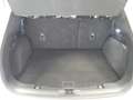 Ford Kuga ST-Line X 2.5 Duratec PHEV 165kW Auto Blanco - thumbnail 22